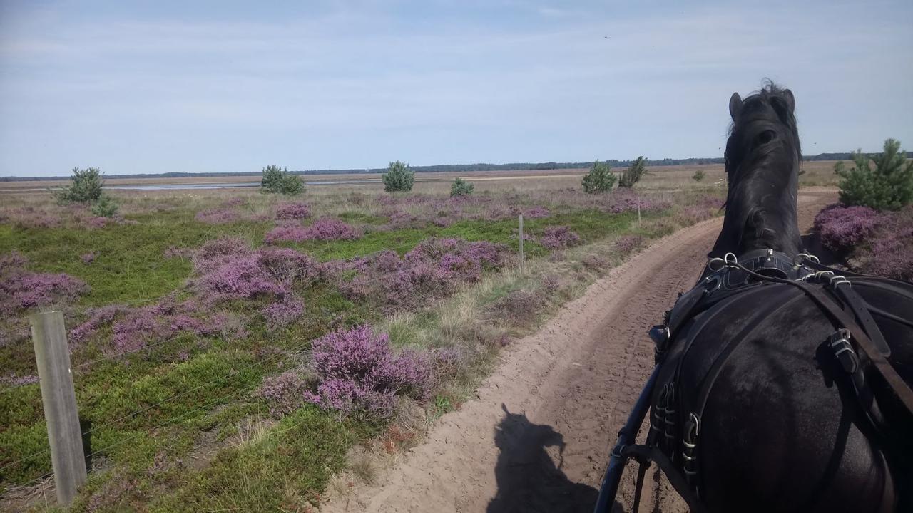 RuinenHoeve Den Anholt别墅 外观 照片
