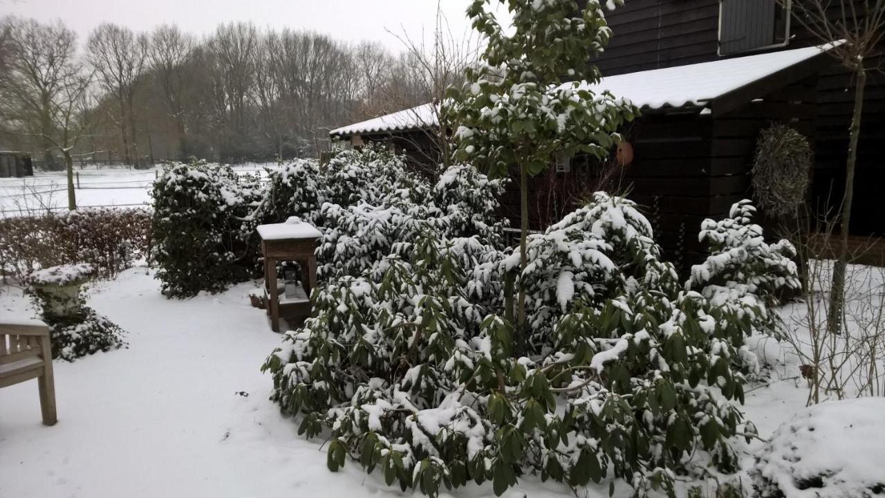 RuinenHoeve Den Anholt别墅 外观 照片