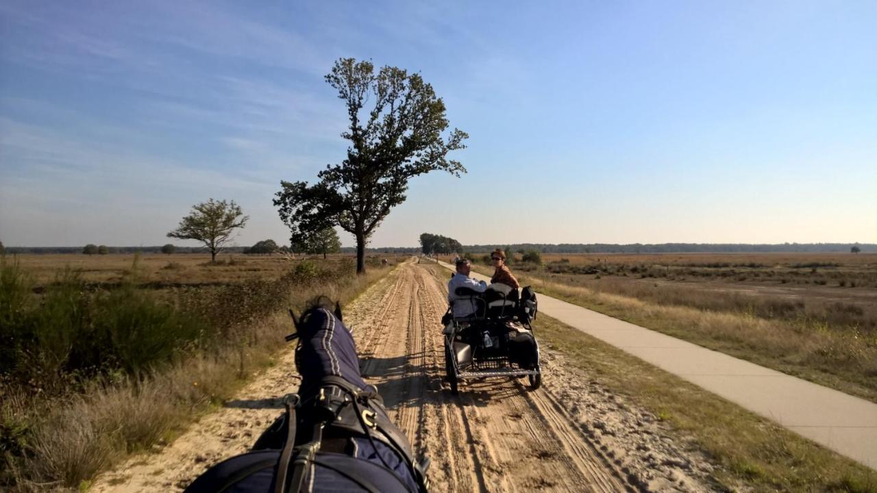 RuinenHoeve Den Anholt别墅 外观 照片