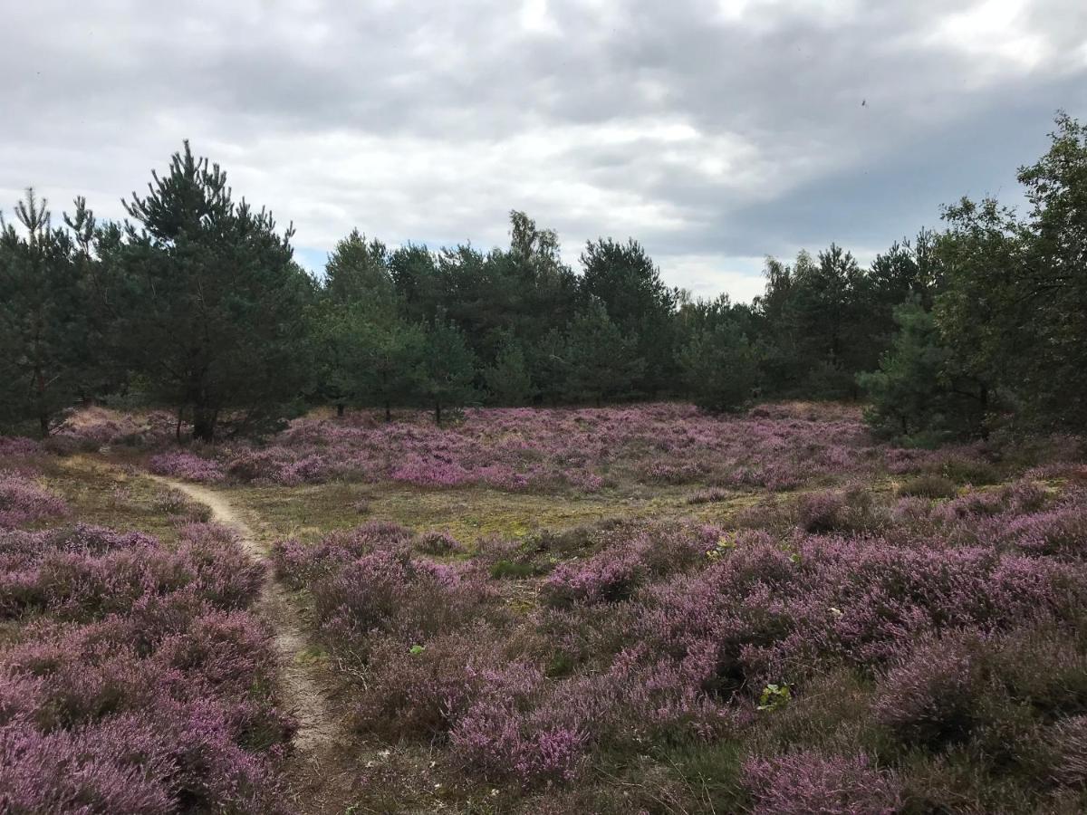 RuinenHoeve Den Anholt别墅 外观 照片